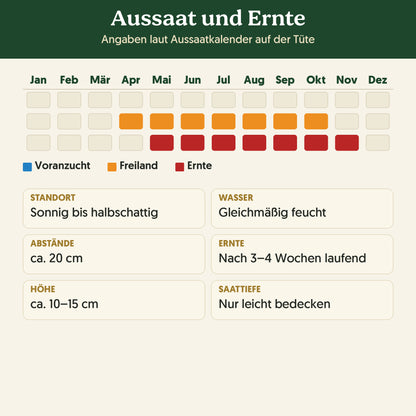 Aussaatkalender Bio-Wilde Rauke: Voranzucht, Freiland und Ernte sowie Anbauangaben